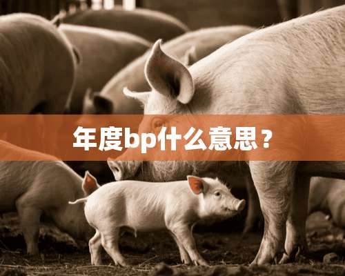 年度bp什么意思？