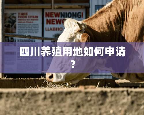 四川养殖用地如何申请？