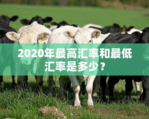 2020年最高汇率和最低汇率是多少？