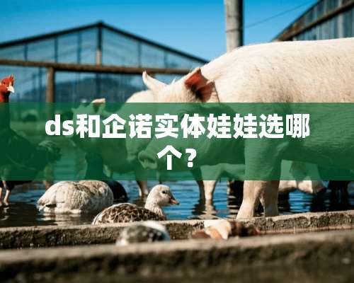 ds和企诺***娃选哪个？