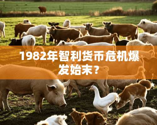 1982年智利货币危机爆发始末？