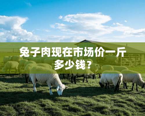 兔子肉现在市场价一斤多少钱？