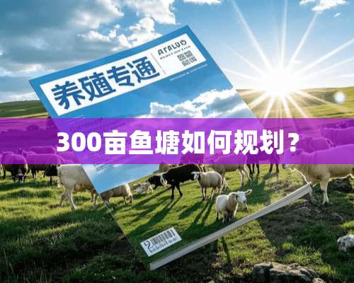 300亩鱼塘如何规划？