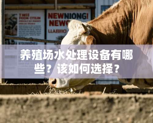 养殖场水处理设备有哪些？该如何选择？