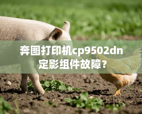 奔图打印机cp9502dn 定影组件故障？