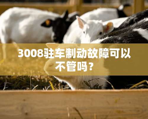 3008驻车制动故障可以不管吗？