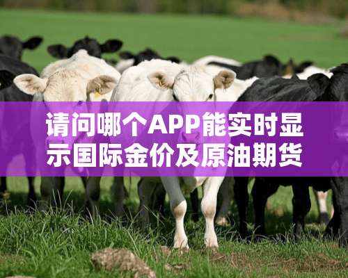 请问哪个APP能实时显示国际金价及原油期货的价格？