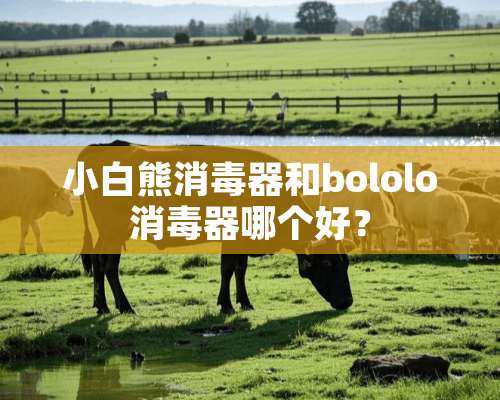 小白熊消毒器和bololo消毒器哪个好？