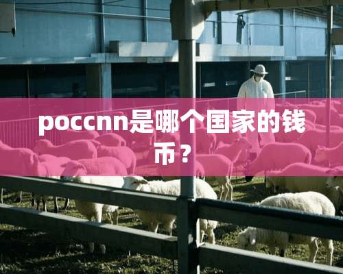 poccnn是哪个国家的钱币？