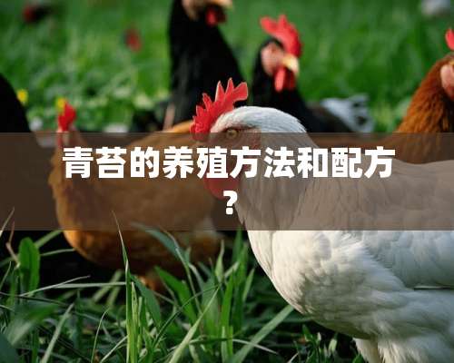 青苔的养殖方法和配方？