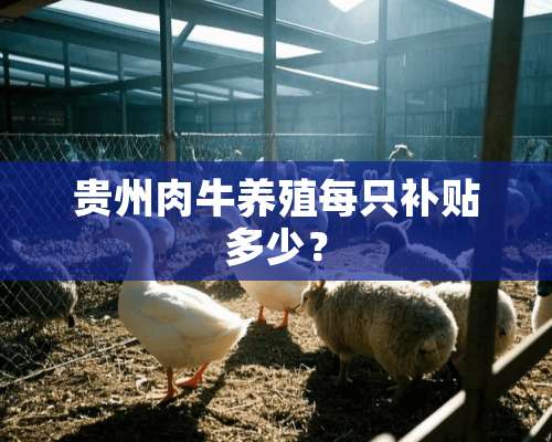 贵州肉牛养殖每只补贴多少？