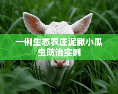 一例生态农庄泥鳅小瓜虫防治实例