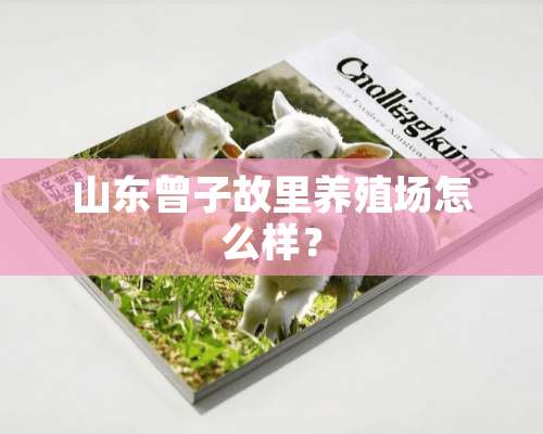 山东曾子故里养殖场怎么样？