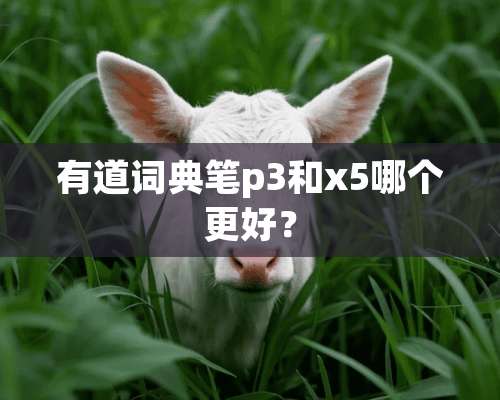 有道词典笔p3和x5哪个更好？