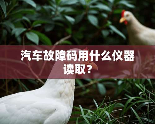 汽车故障码用什么仪器读取？