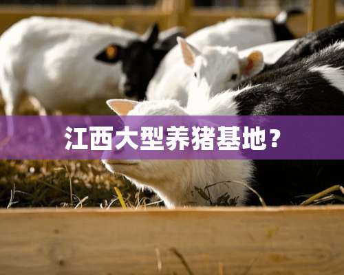 江西大型养猪基地？