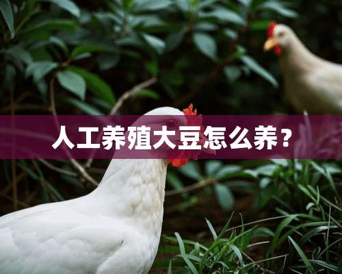 人工养殖大豆怎么养？