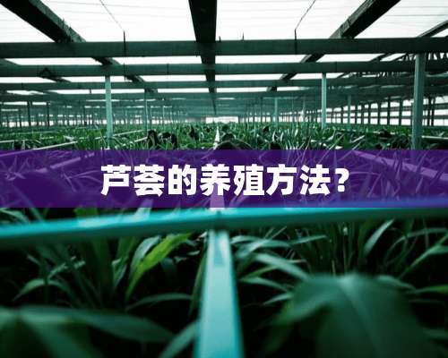 芦荟的养殖方法？