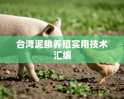 台湾泥鳅养殖实用技术汇编