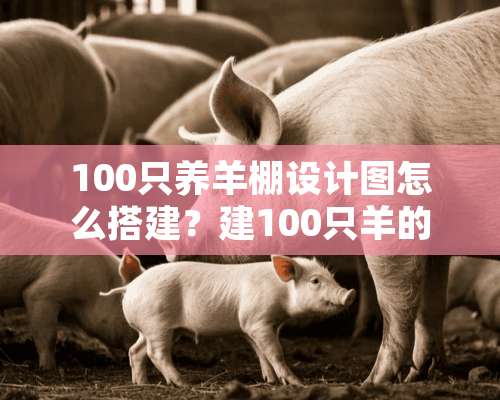 100只养羊棚设计图怎么搭建？建100只羊的圈舍要多少钱？