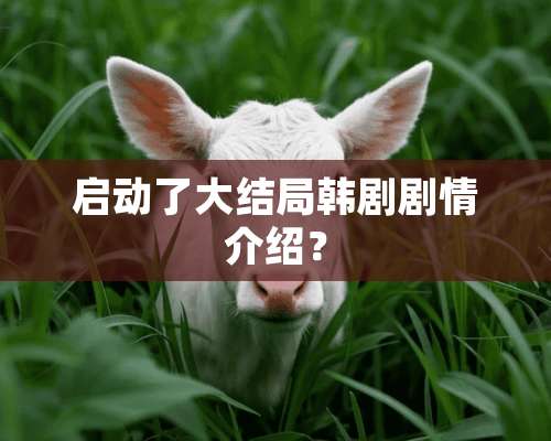 启动了大结局韩剧剧情介绍？