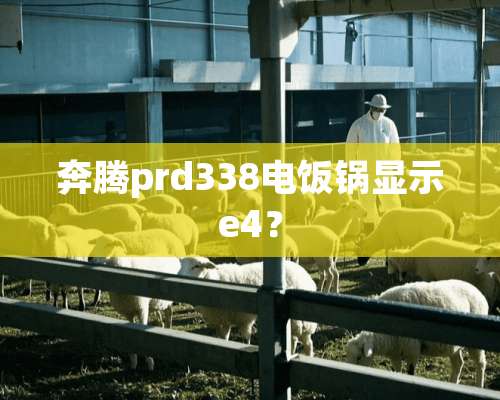 奔腾prd338电饭锅显示e4？