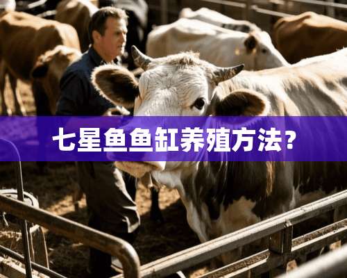 七星鱼鱼缸养殖方法？