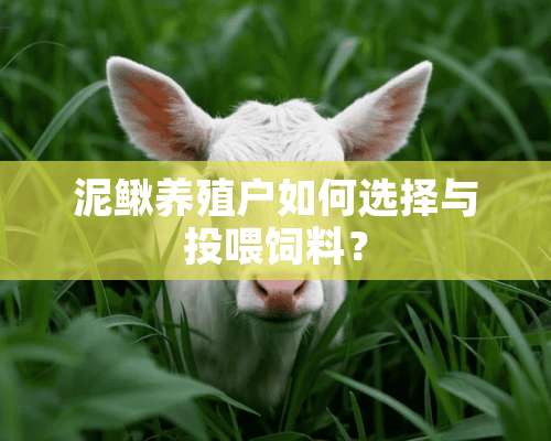 泥鳅养殖户如何选择与投喂饲料？