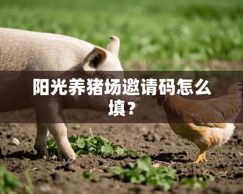 阳光养猪场邀请码怎么填？