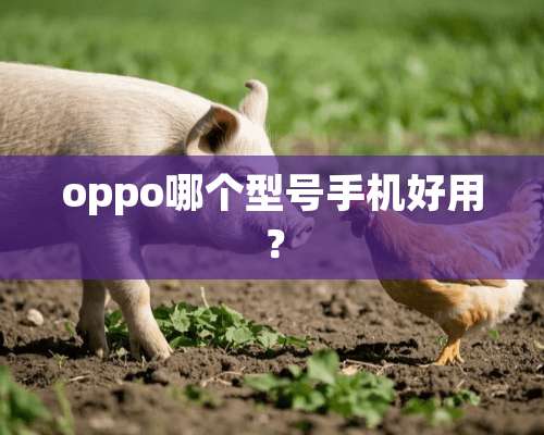 oppo哪个型号手机好用？