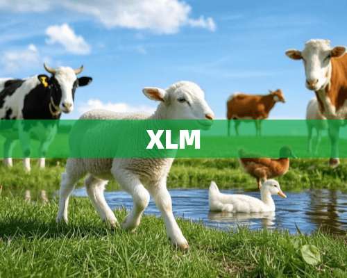 XLM