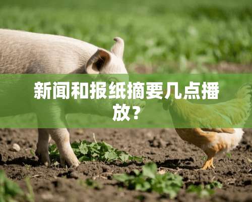 新闻和报纸摘要几点播放？