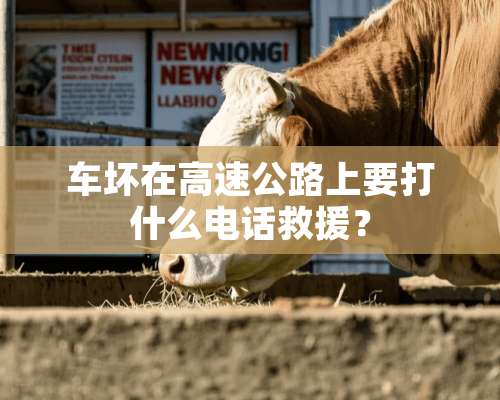 车坏在高速公路上要打什么电话救援？