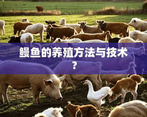 鳗鱼的养殖方法与技术？