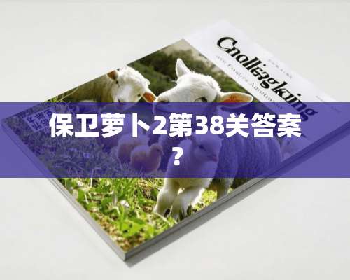 保卫萝卜2第38关答案？