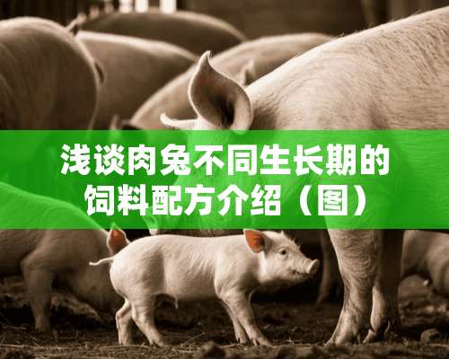 浅谈肉兔不同生长期的饲料配方介绍（图）