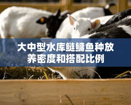 大中型水库鲢鳙鱼种放养密度和搭配比例