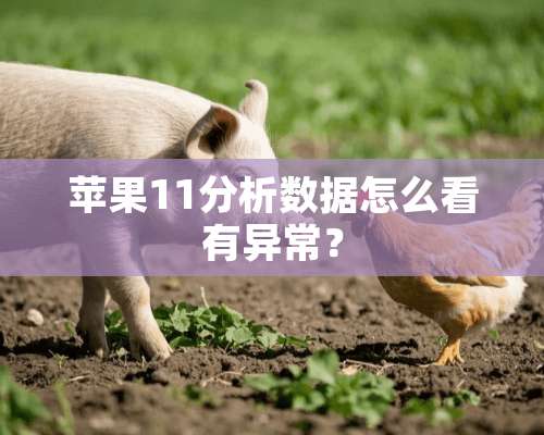 苹果11分析数据怎么看有异常？