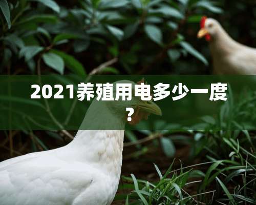 2021养殖用电多少一度？