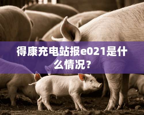 得康充电站报e021是什么情况？