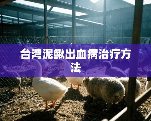 台湾泥鳅出血病治疗方法