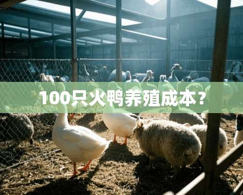 100只火鸭养殖成本？