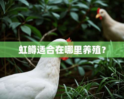 虹鳟适合在哪里养殖？