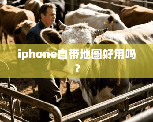 iphone自带地图好用吗？