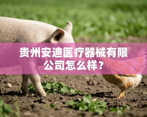 贵州安迪医疗器械有限公司怎么样？