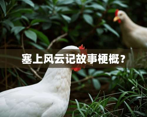 塞上风云记故事梗概？