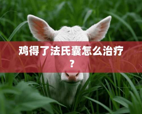 鸡得了法氏囊怎么治疗？