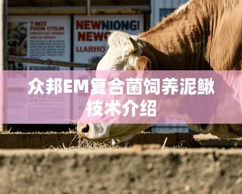 众邦EM复合菌饲养泥鳅技术介绍