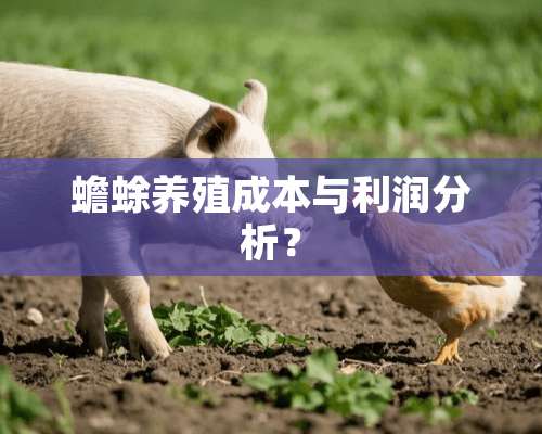 蟾蜍养殖成本与利润分析？