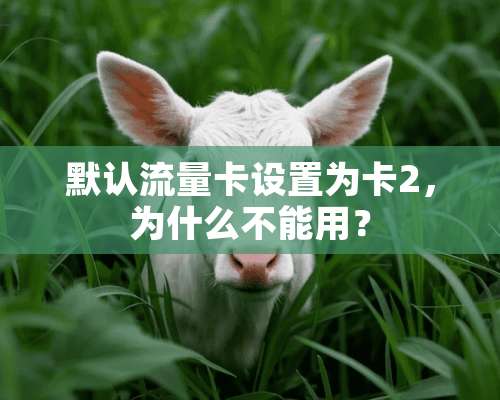 默认流量卡设置为卡2，为什么不能用？